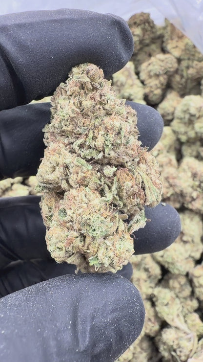 Mendo Breath