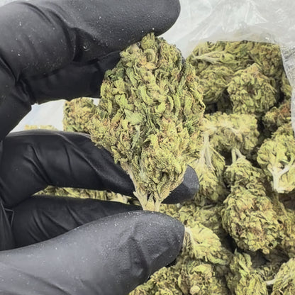 Chemdawg