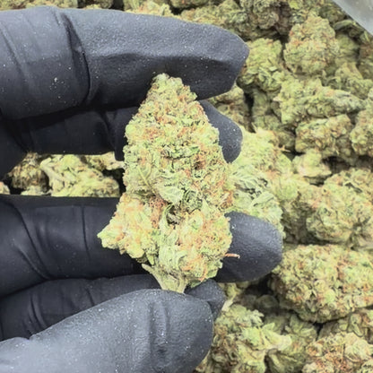 Kush Crasher