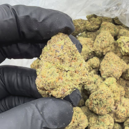 Lemon Kush
